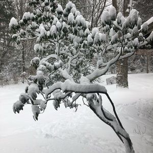 Meet your Posher, Jocelyn